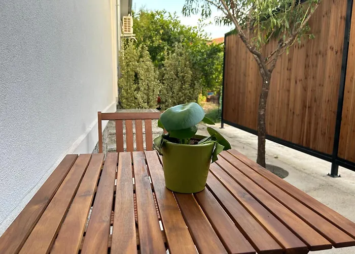 Lemon Breeze Studio In Shkodra
